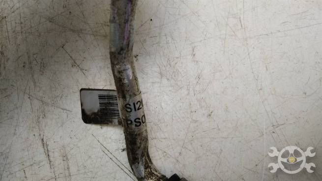  497259943R