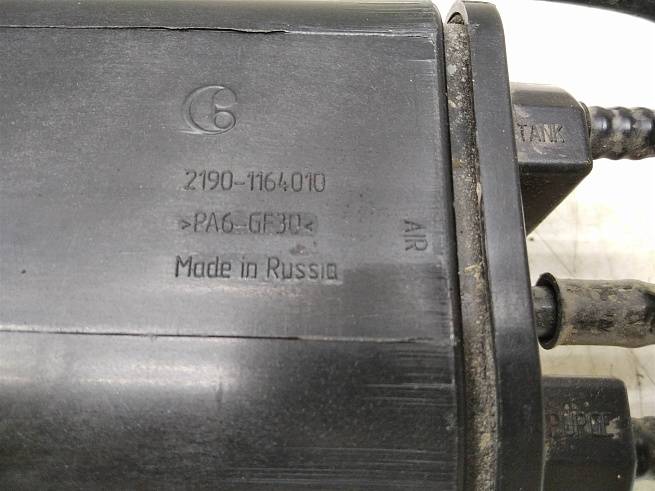  21901164010