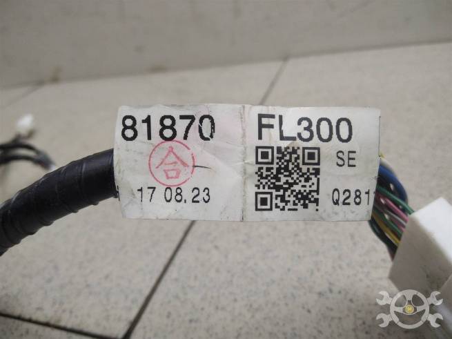  81870FL300