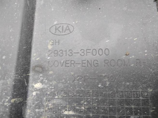  293133F000