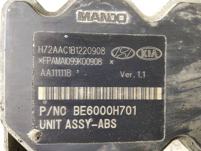  589204L100