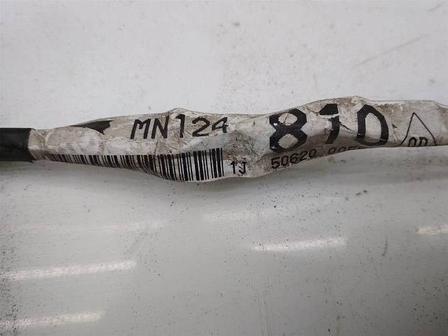  MN124810