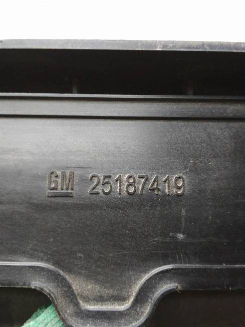  25187419