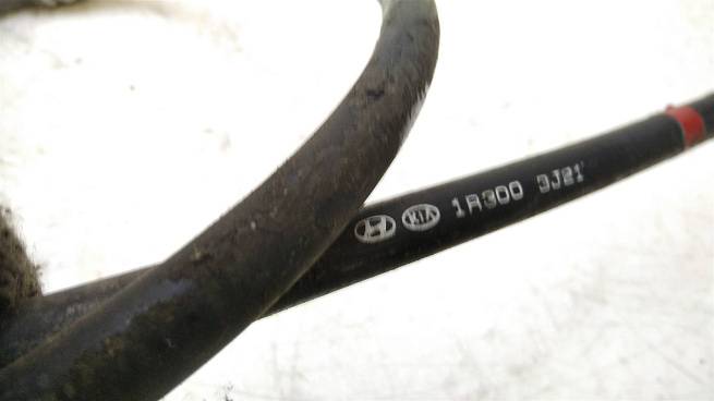  597701R300