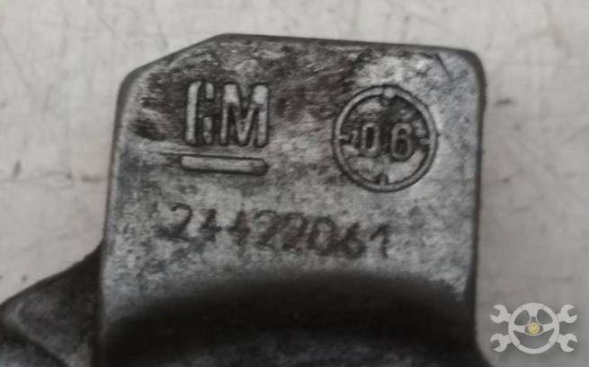 24422061