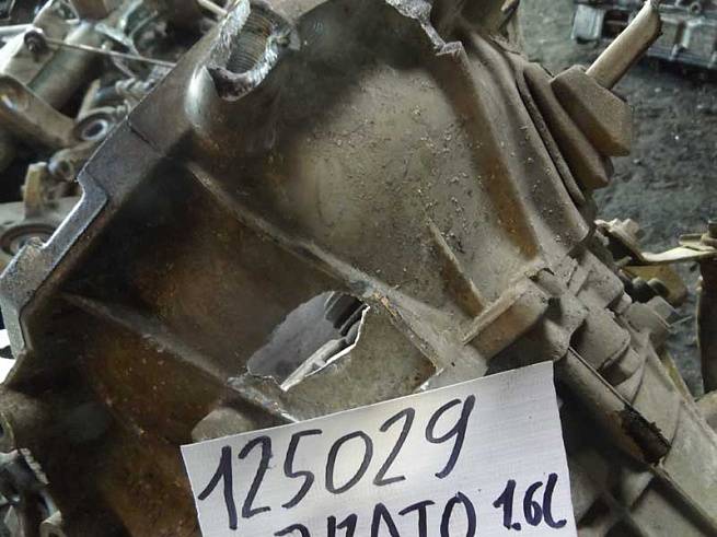  М5СF1