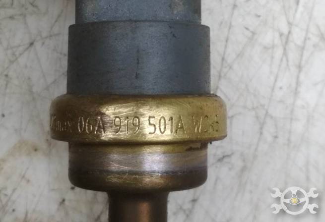  06A919501A