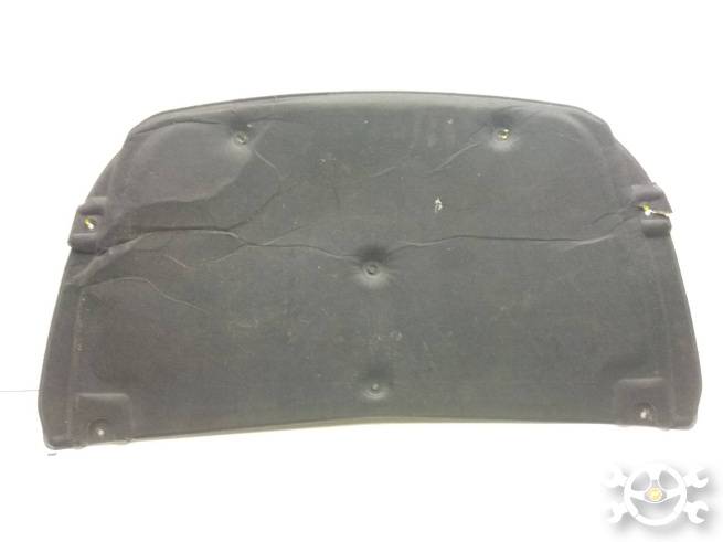 SCA5531801  SCA5531801