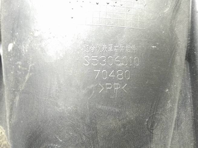  S5306010