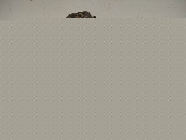  2851039655