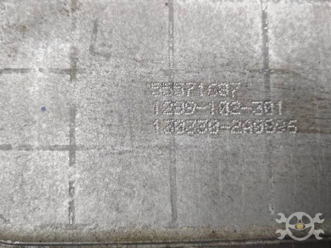  55355603