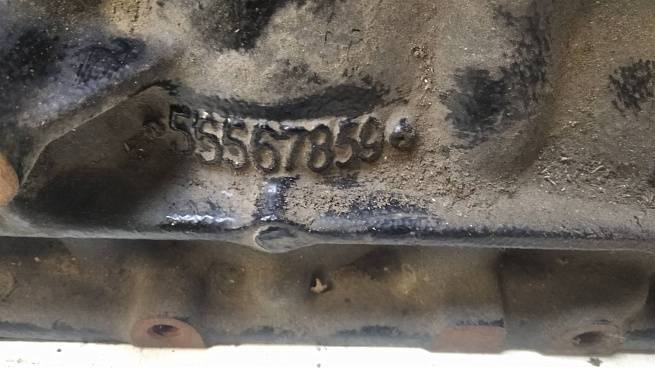  55567859