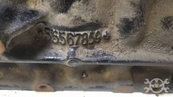  55567859