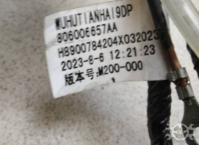  806006657AA