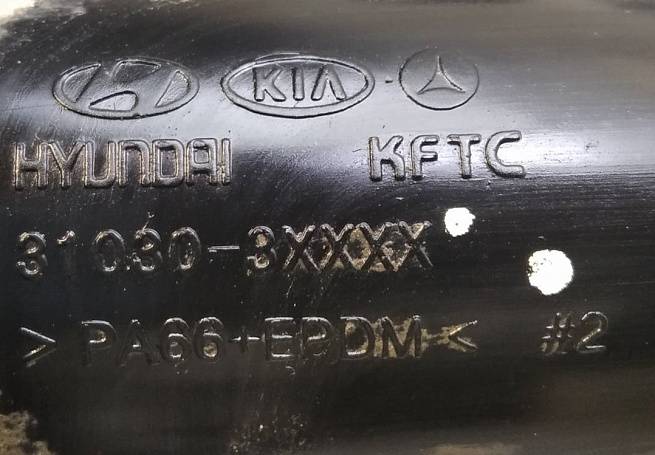  310301R100