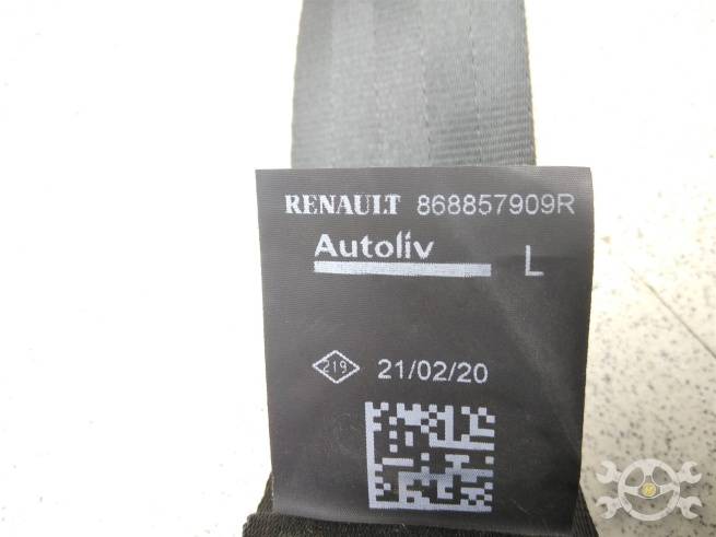  868857909R