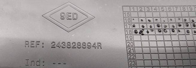  243825499R