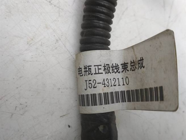 J524312110