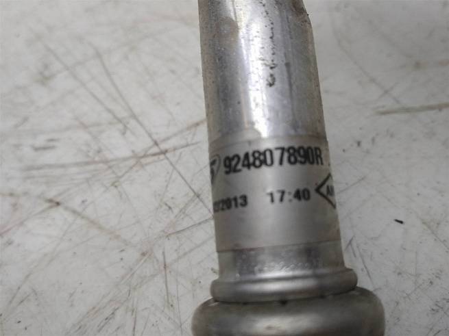  924807890R