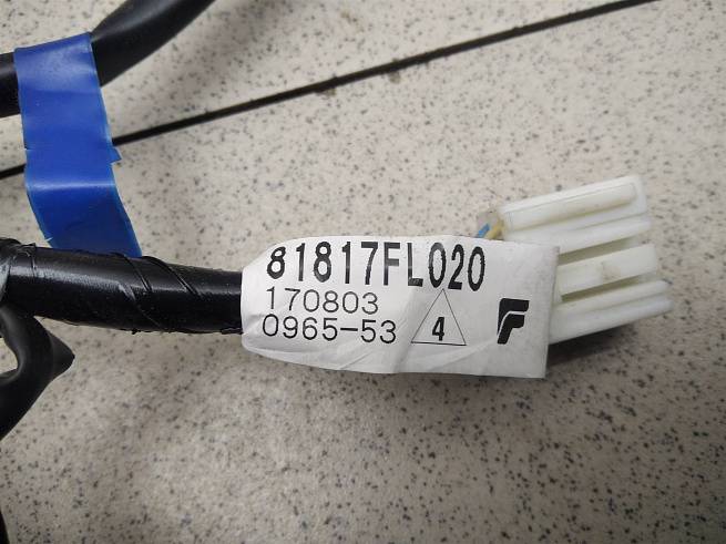  81817FL020