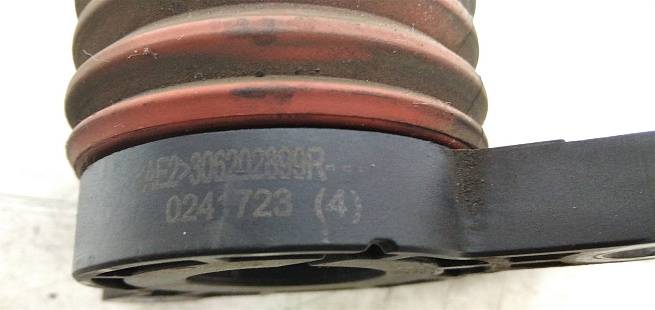  306202899R