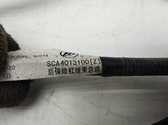 SCA4013100